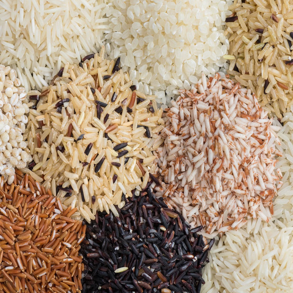 Grains & Rice