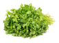 Fresh Coriander Leaves