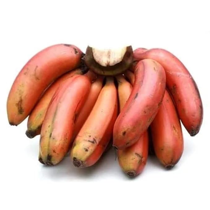 Fresh Red Banana – 500g