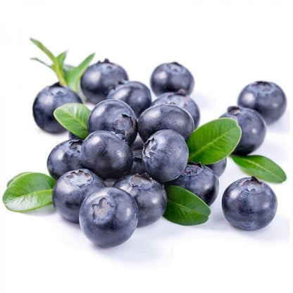 Fresh Blueberry – 500g Pack