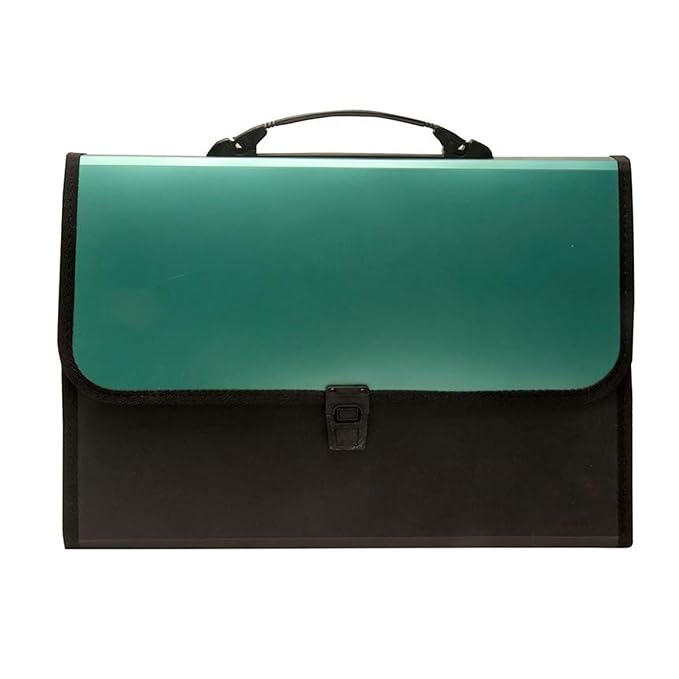 Expanding File Folder with Handle – 13-Pocket A4 Size Organizer